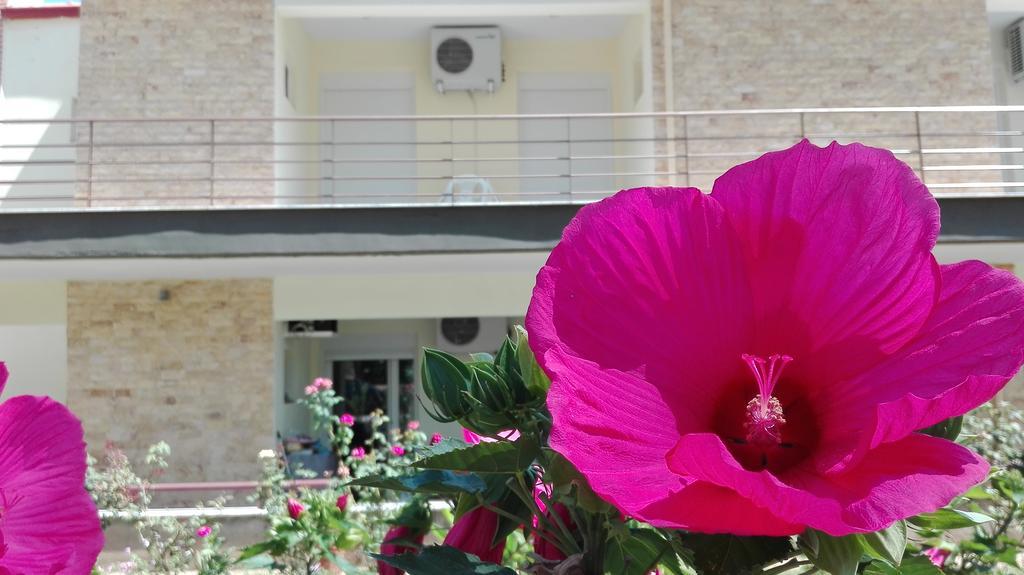 Familia Hotel Loutra Volvis エクステリア 写真
